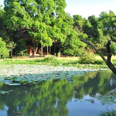 فيلا Back Of Beyond - Wild Haven سيغيرِيا المظهر الخارجي الصورة