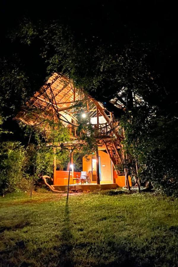 فيلا Back Of Beyond - Wild Haven سيغيرِيا المظهر الخارجي الصورة